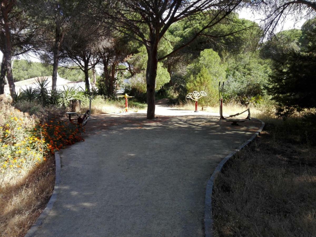 Apartamento En Los Patios De Santa Maria Golf Marbella Buitenkant foto
